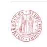 Logo Università degli Studi di Padova